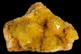Sunshine Cactus Quartz Crystal Cluster - South Africa #132886-1
